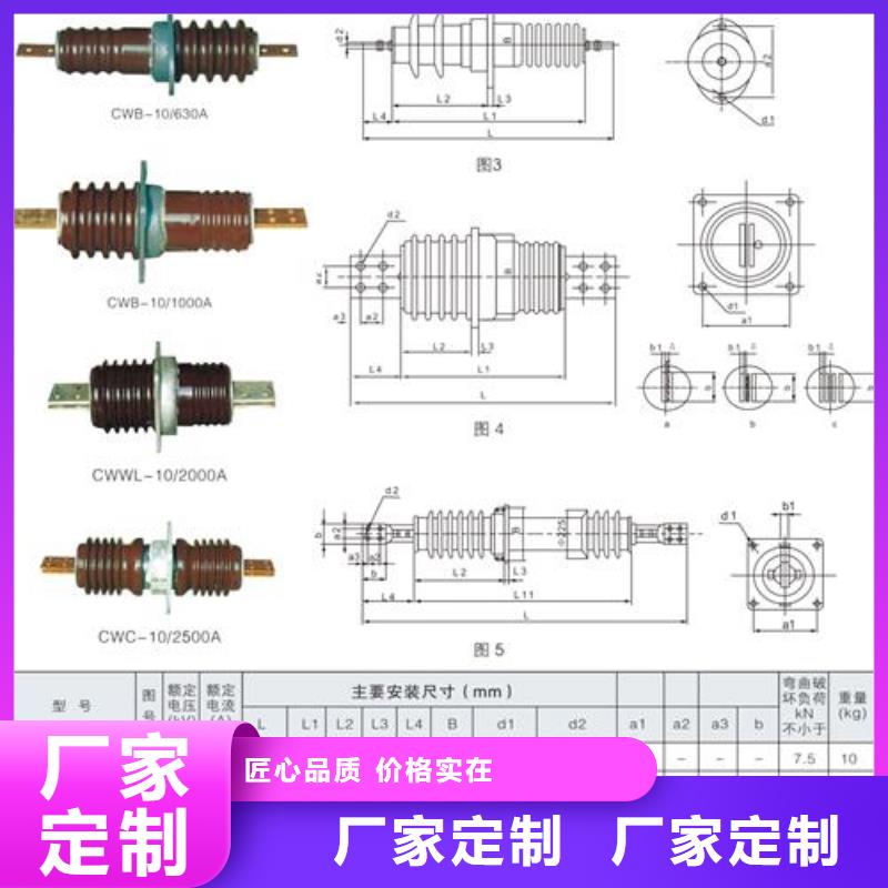 CWB-35/3000高压穿墙套管