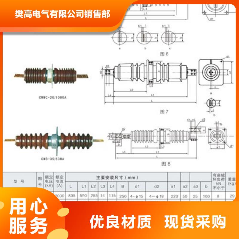 CWW-20/2000A-4高压穿墙套管