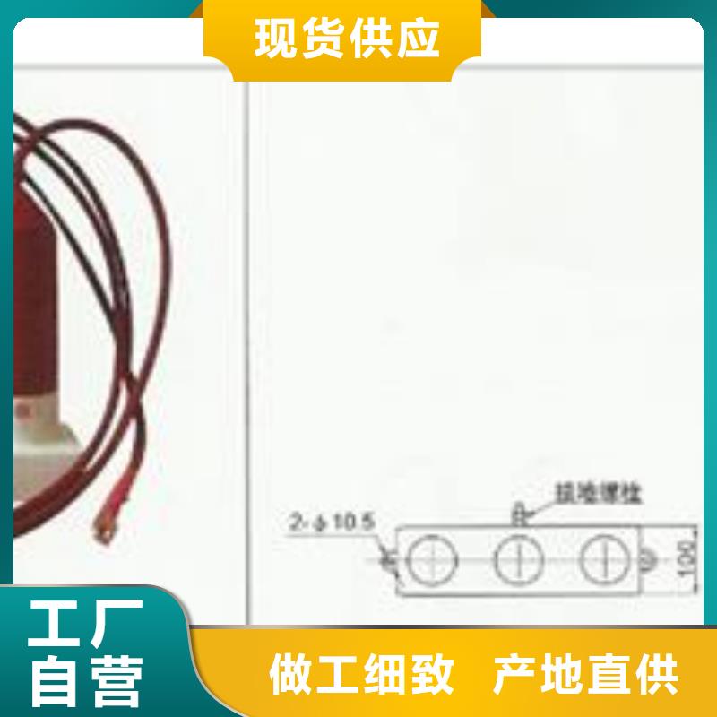 过电压保护器氧化锌避雷器厂家品质可靠