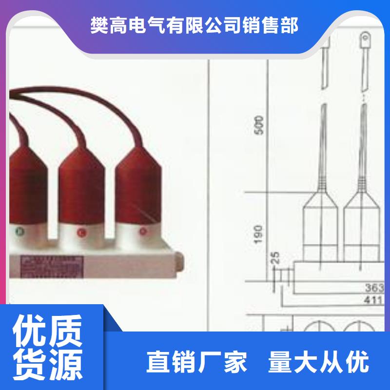 过电压保护器【限流熔断器】厂家十分靠谱