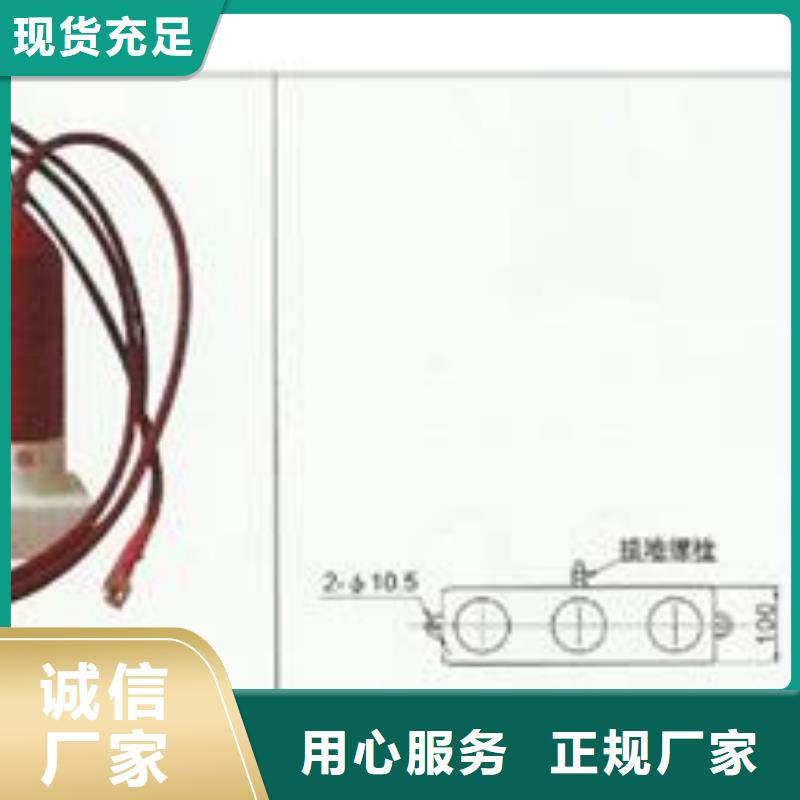 过电压保护器【限流熔断器】厂家十分靠谱