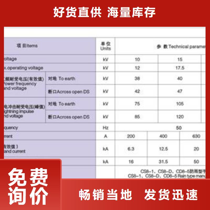 隔离开关真空断路器生产厂家多种规格库存充足