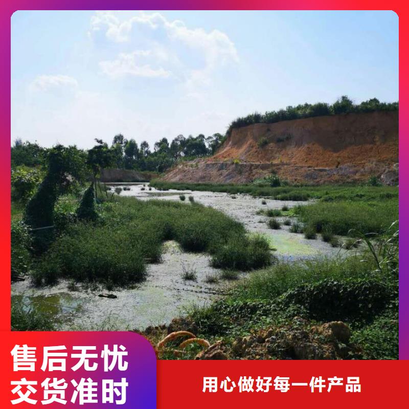 污泥处理生态沙土抑尘剂经验丰富质量放心