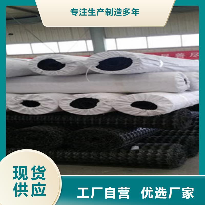 双向塑料格栅_三维植被网工厂直营