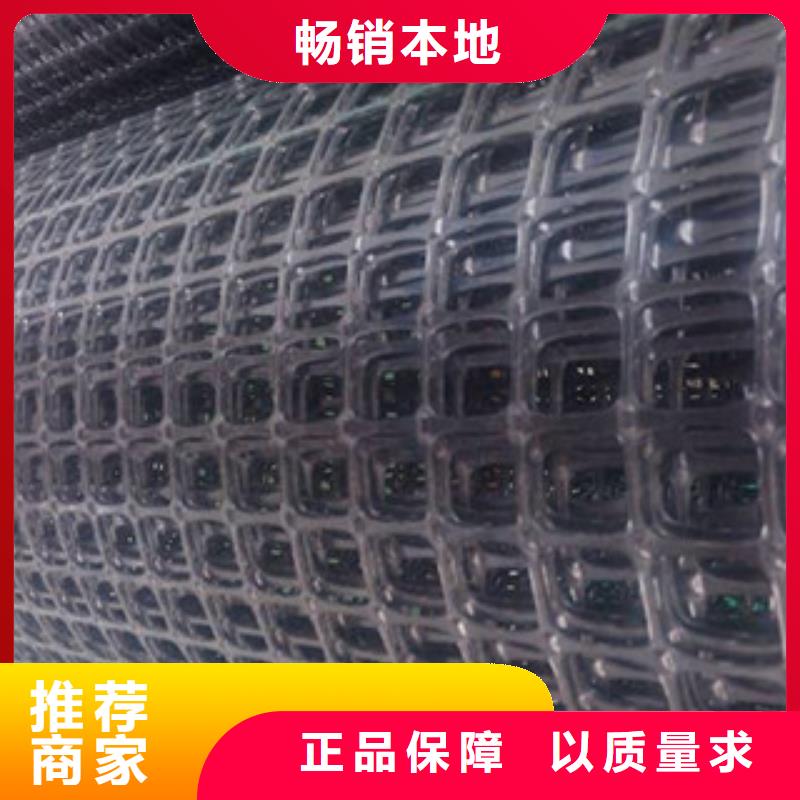 双向塑料格栅三维植被网源厂供货