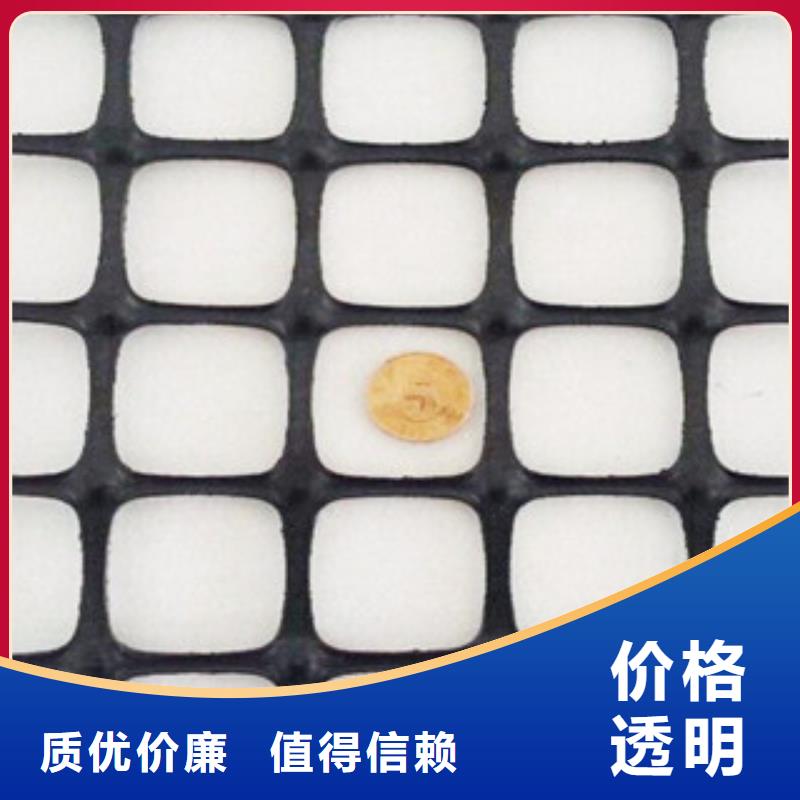 双向塑料格栅_三维植被网工厂直营