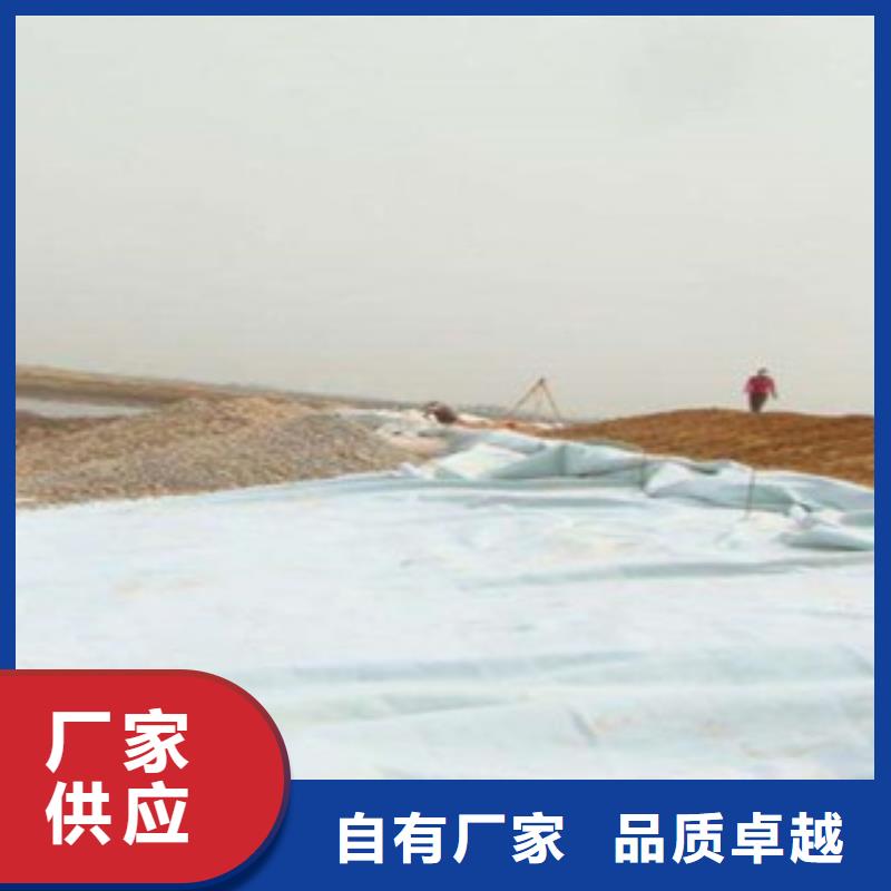 【土工布】塑料土工格栅实体诚信厂家