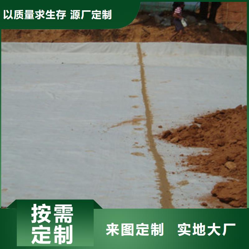 膨润土防水毯玻纤土工格栅买的放心安兴用的舒心