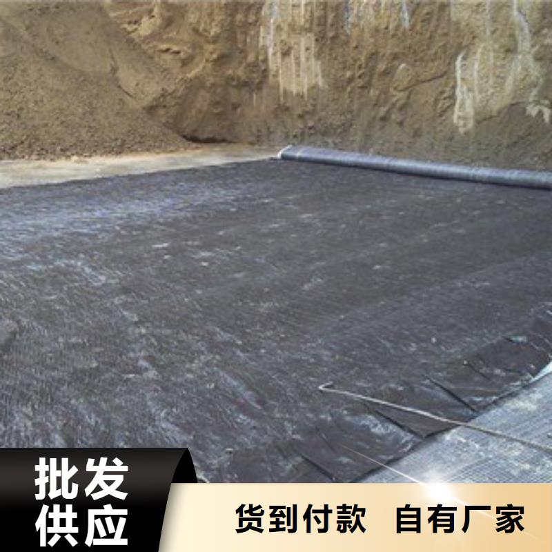 膨润土防水毯-玻纤土工格栅厂家经验丰富