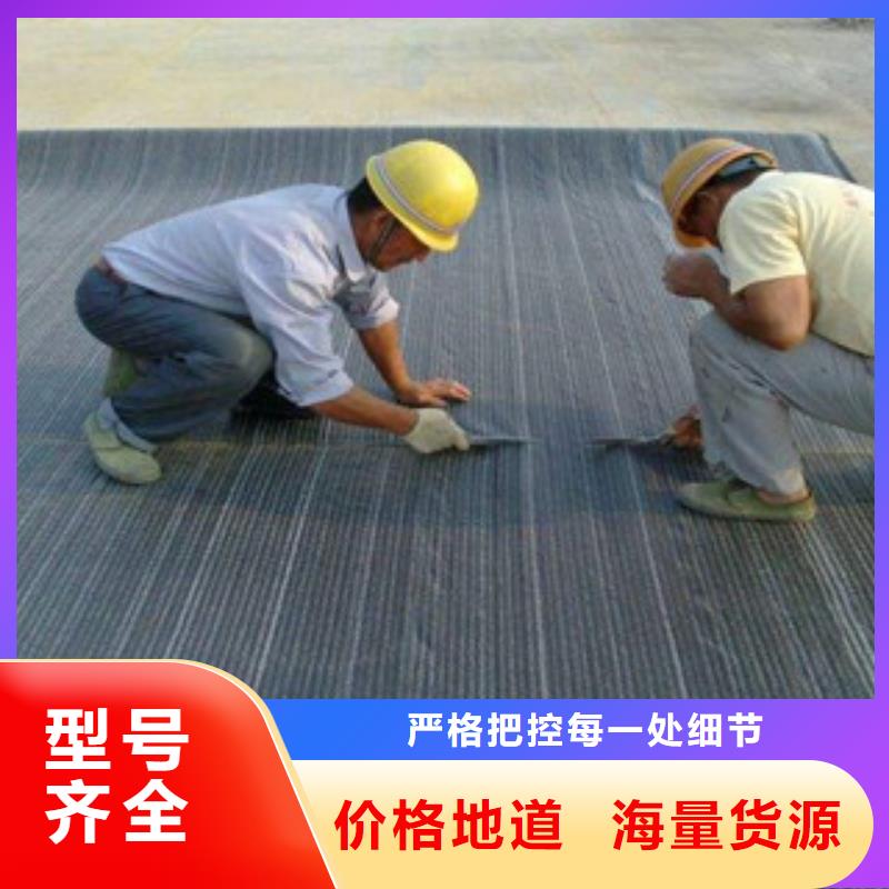 膨润土防水毯钢塑土工格栅生产型