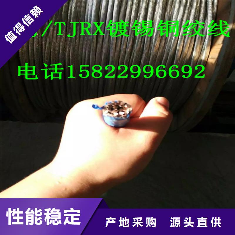 生产加工(辰昌盛通)镀锡铜绞线国家标准源头厂家一米多少钱