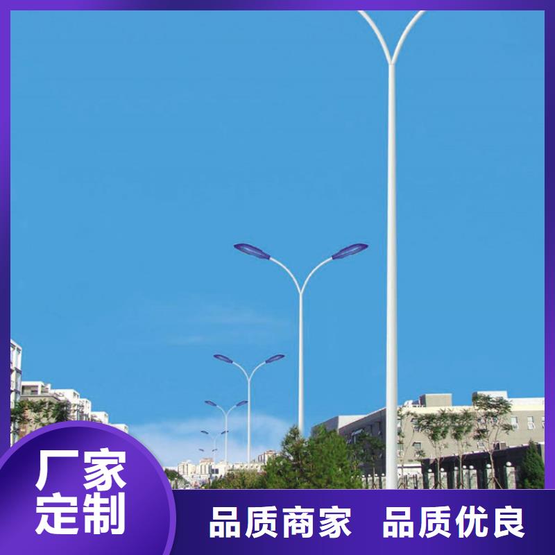 太阳能市电-路灯生产厂家快速发货