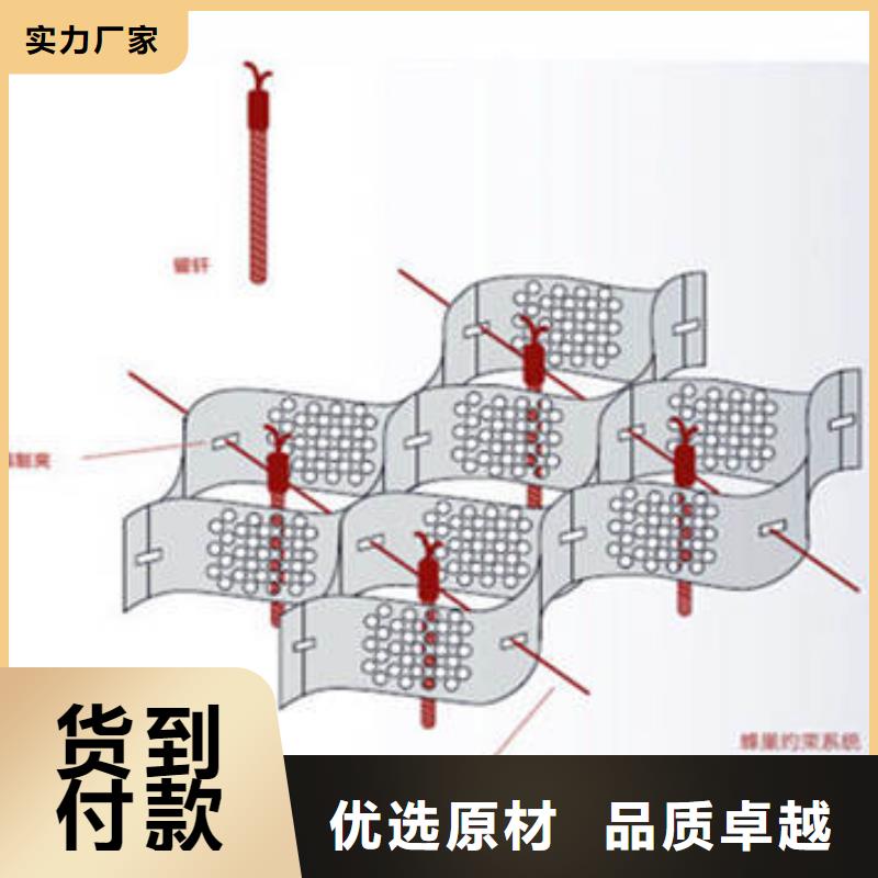 蜂巢格室土工格室价格透明