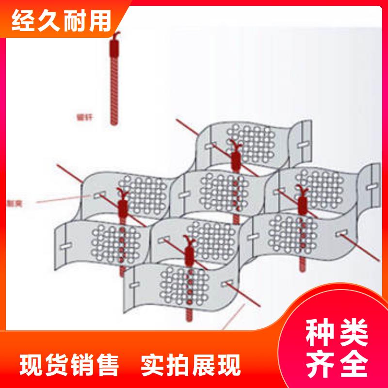 蜂巢格室蜂格网多种工艺