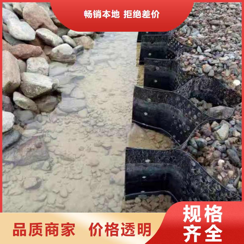 蜂巢格室 网格布厂家直营
