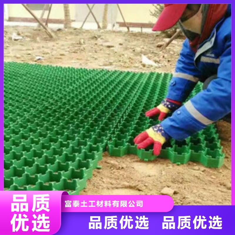 环保植草格膨润土防水毯厂家款式新颖