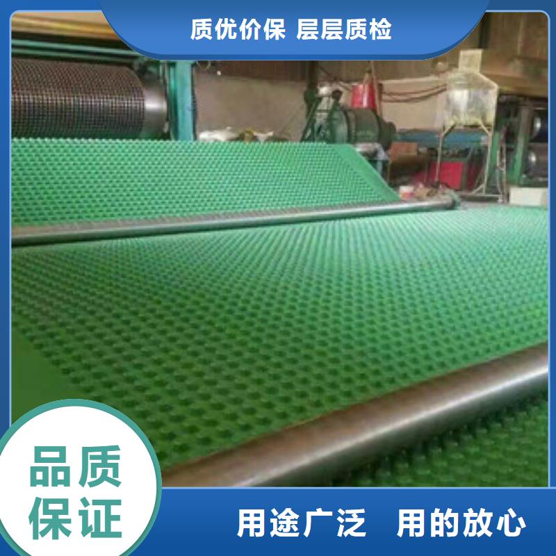 塑料排水板【排水板厂家】N年大品牌