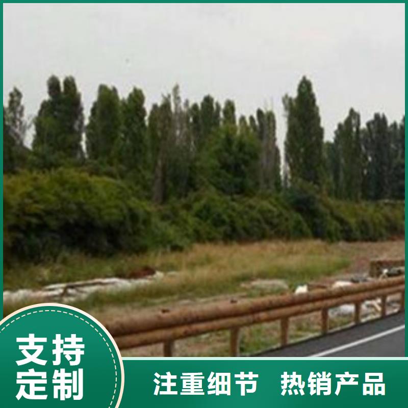 【钢背木护栏道路交通护栏全新升级品质保障】