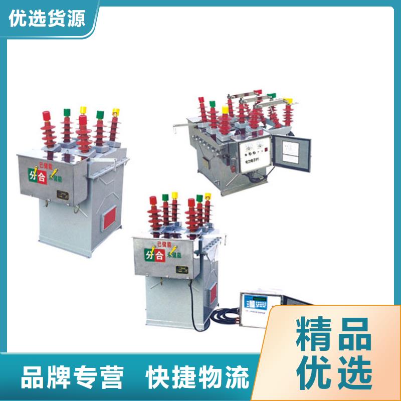 昭通ZW8-12/630-20真空断路器源头厂家