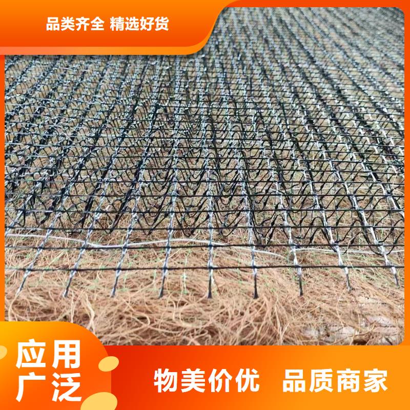 抗冲植生毯一站式厂家
