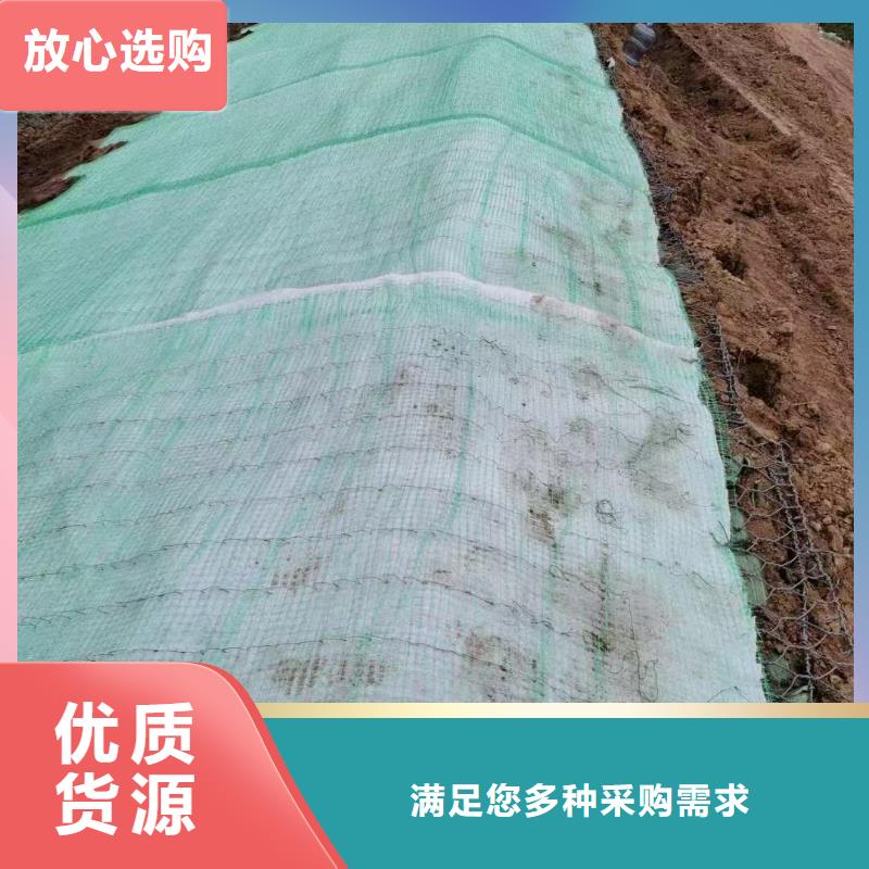 抗冲植生毯一站式厂家