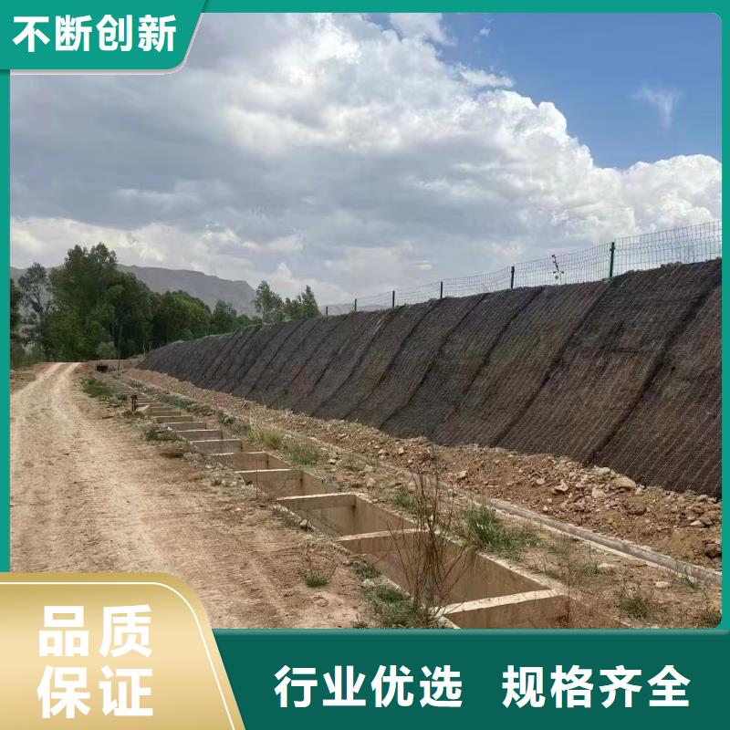 抗冲植生毯一站式厂家