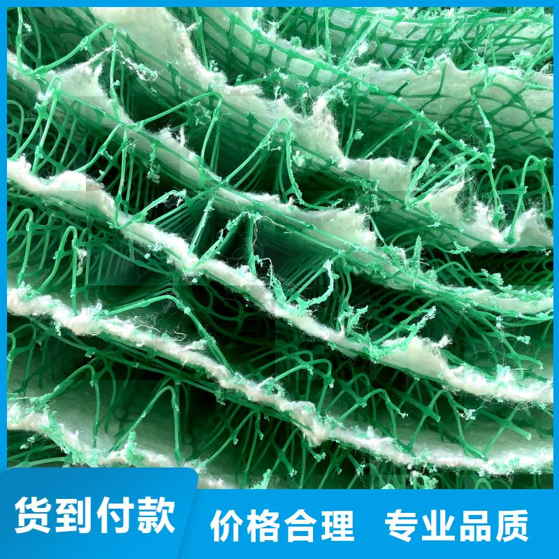 抗冲植生毯一站式厂家
