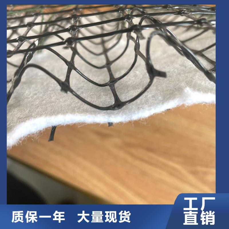 抗冲植生毯一站式厂家