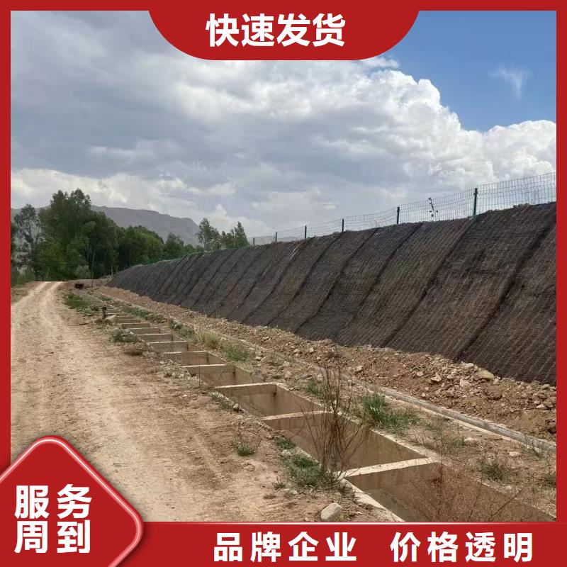 抗冲植生毯一站式厂家