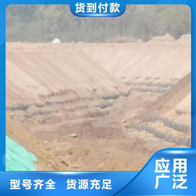 抗冲植生毯一站式厂家